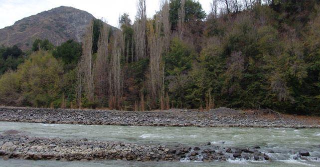 Cabanas Parque Almendro Villa San José de Maipo Kültér fotó